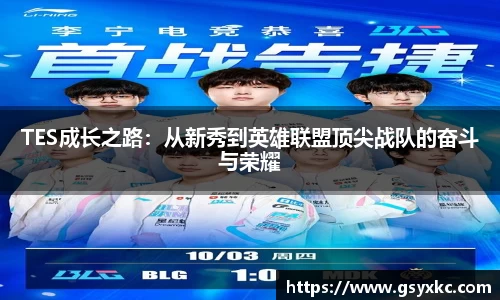 TES成长之路：从新秀到英雄联盟顶尖战队的奋斗与荣耀