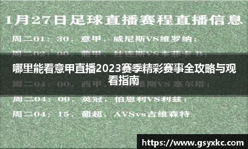 哪里能看意甲直播2023赛季精彩赛事全攻略与观看指南