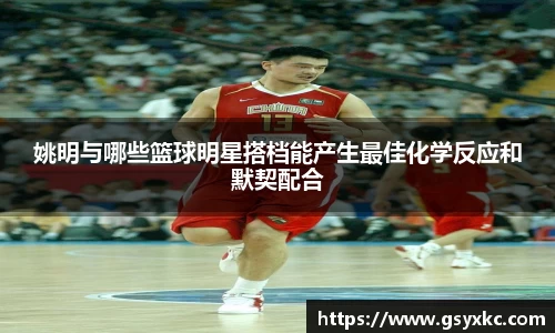 姚明与哪些篮球明星搭档能产生最佳化学反应和默契配合