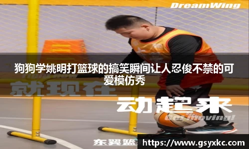 狗狗学姚明打篮球的搞笑瞬间让人忍俊不禁的可爱模仿秀