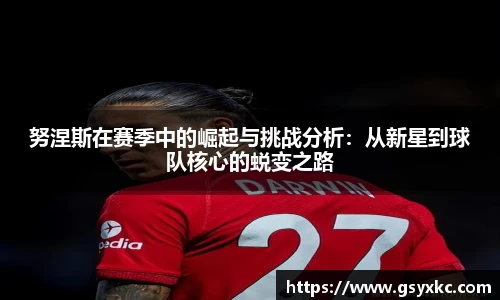 努涅斯在赛季中的崛起与挑战分析：从新星到球队核心的蜕变之路