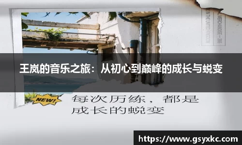 王岚的音乐之旅：从初心到巅峰的成长与蜕变