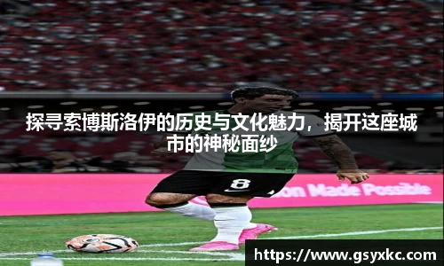 探寻索博斯洛伊的历史与文化魅力，揭开这座城市的神秘面纱
