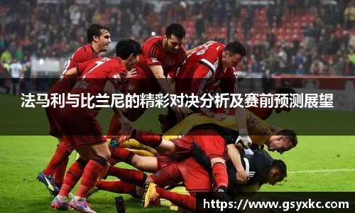 法马利与比兰尼的精彩对决分析及赛前预测展望