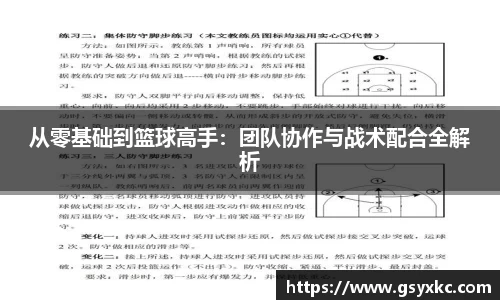 从零基础到篮球高手：团队协作与战术配合全解析
