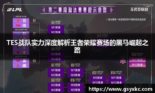 TES战队实力深度解析王者荣耀赛场的黑马崛起之路